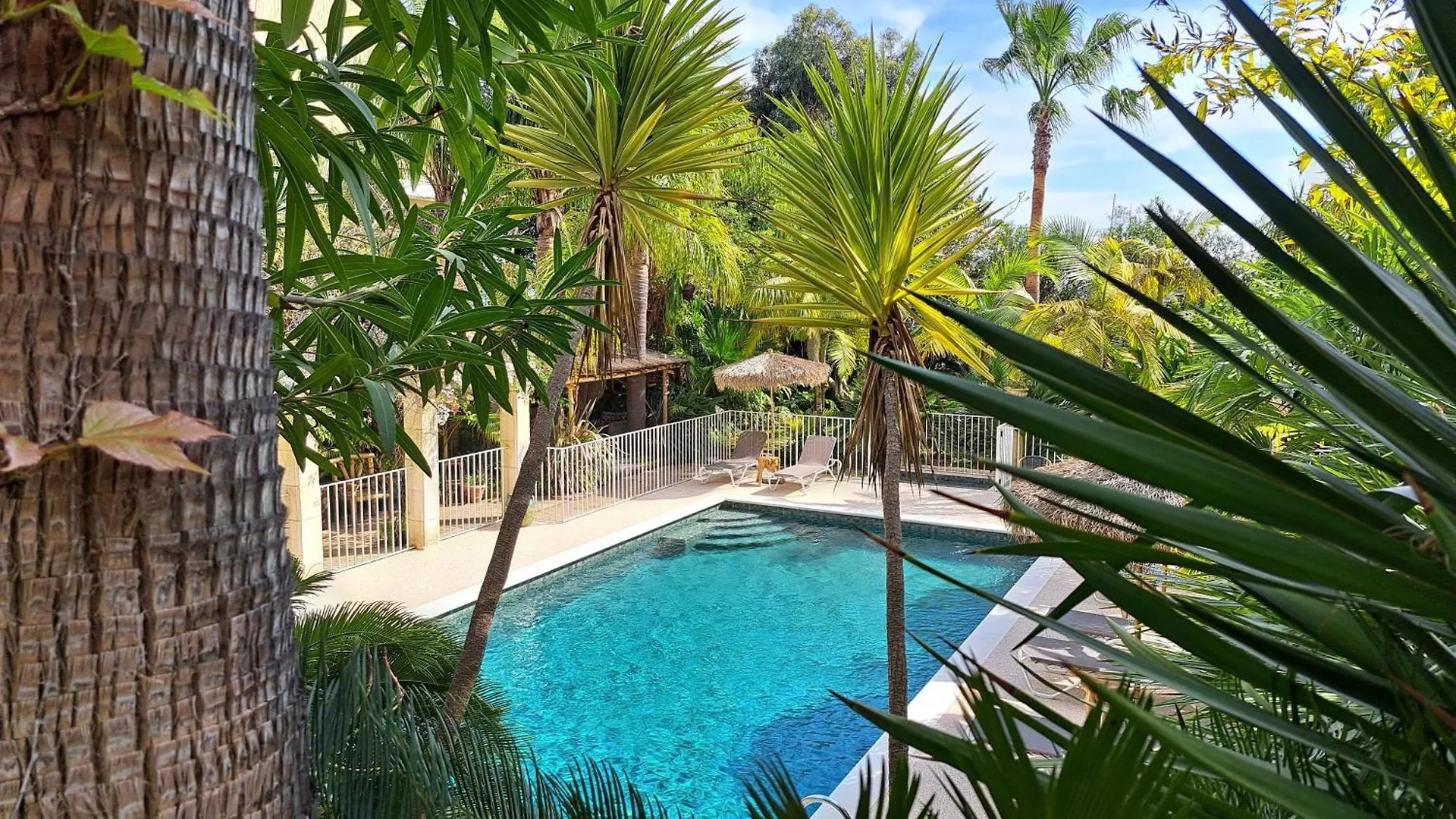 Residence Veles Plage Cannes